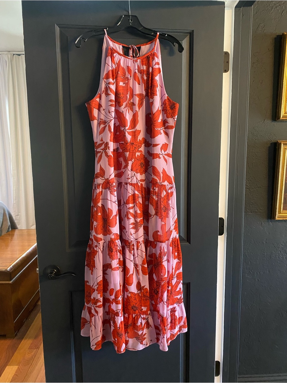 Eliza J Pink Maxi Dress with Red Floral Print